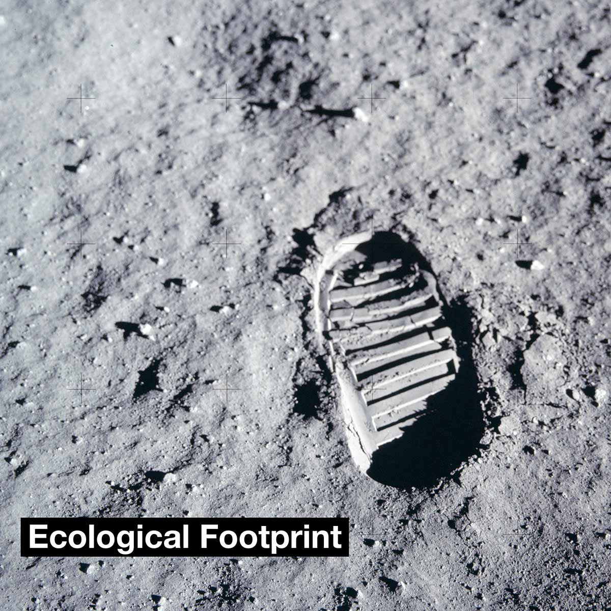 ecofootprint